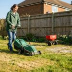 Jak zadbać o trawnik po zimie? Regeneracja i pierwsze koszenie