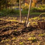 Naturalne sposoby na poprawę kondycji gleby przed zimą – co dodać do ziemi jesienią?