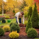 Jak przygotować ogród na zimowy odpoczynek – podlewanie, przycinanie i ściółkowanie