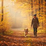 Podróż z psem jesienią – jak przygotować zwierzaka i siebie do wspólnej trasy?